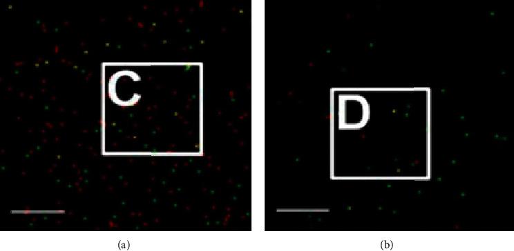 https://cdn.ncbi.nlm.nih.gov/pmc/blobs/3b18/9295614/237f0ac847ce/CIN2022-1953992.005.jpg