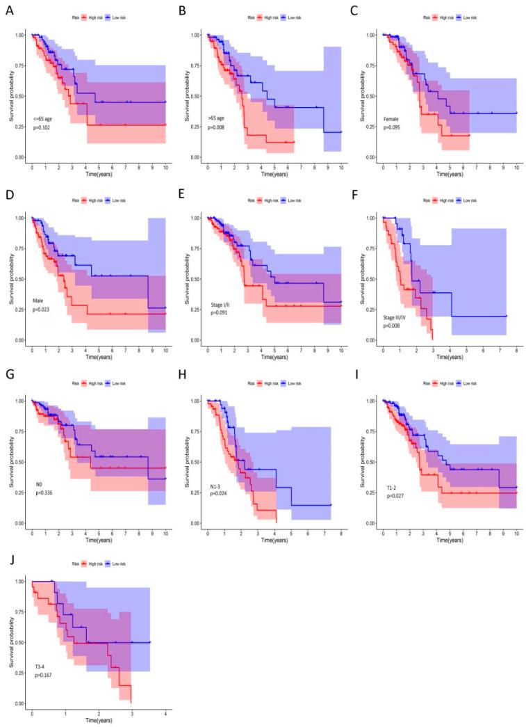 https://cdn.ncbi.nlm.nih.gov/pmc/blobs/3b19/7697394/15b1b5ae0c17/ijms-21-08479-g006.jpg