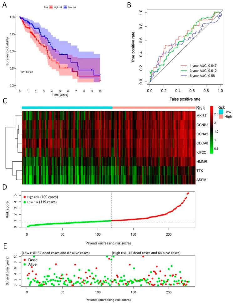 https://cdn.ncbi.nlm.nih.gov/pmc/blobs/3b19/7697394/4feff41c07ac/ijms-21-08479-g005.jpg