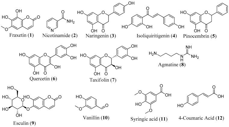 https://cdn.ncbi.nlm.nih.gov/pmc/blobs/3b1c/11048375/d1ecdec3039a/biomolecules-14-00440-g008.jpg