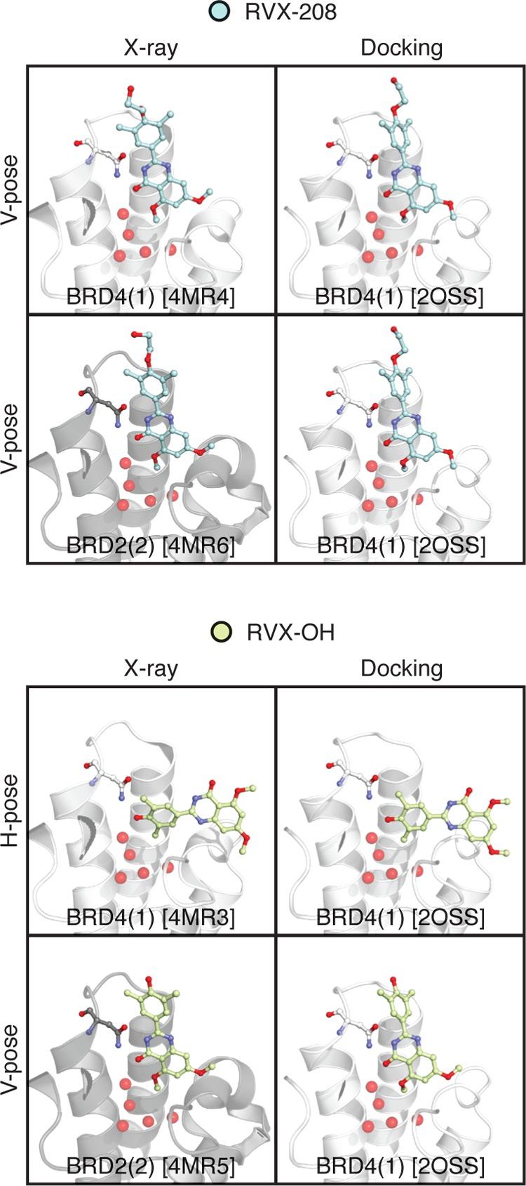 https://cdn.ncbi.nlm.nih.gov/pmc/blobs/3b1c/5253712/068ada4bca93/ja-2016-11467t_0002.jpg