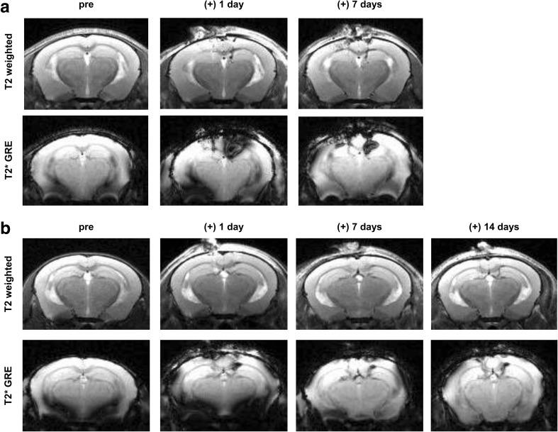 https://cdn.ncbi.nlm.nih.gov/pmc/blobs/3b1c/5346117/267c8ddd1f60/12015_2016_9694_Fig7_HTML.jpg