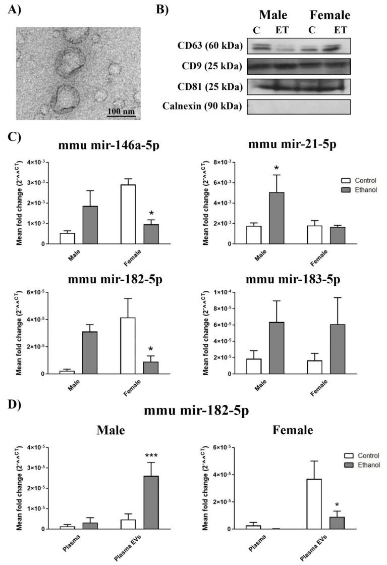 https://cdn.ncbi.nlm.nih.gov/pmc/blobs/3b1c/7555060/6c70b629f6ed/ijms-21-06730-g002.jpg