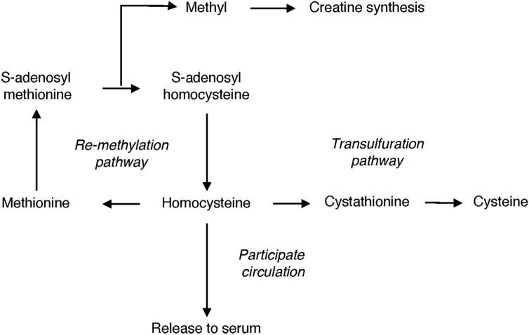 https://cdn.ncbi.nlm.nih.gov/pmc/blobs/3b1f/7566483/4ea1255e26be/41598_2020_74596_Fig4_HTML.jpg