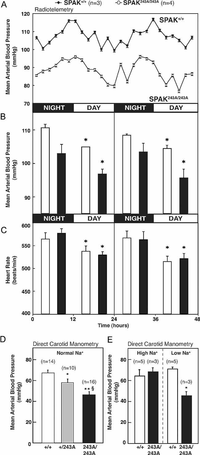https://cdn.ncbi.nlm.nih.gov/pmc/blobs/3b21/3377268/42867dbbc047/emmm0002-0063-f2.jpg