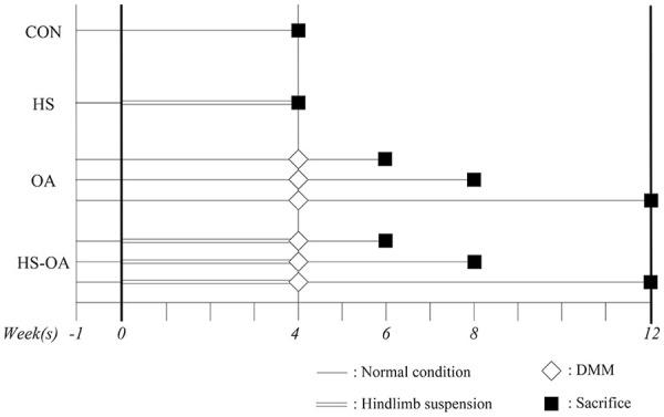 https://cdn.ncbi.nlm.nih.gov/pmc/blobs/3b22/8804873/f110c0c886f2/10.1177_1947603520982350-fig1.jpg