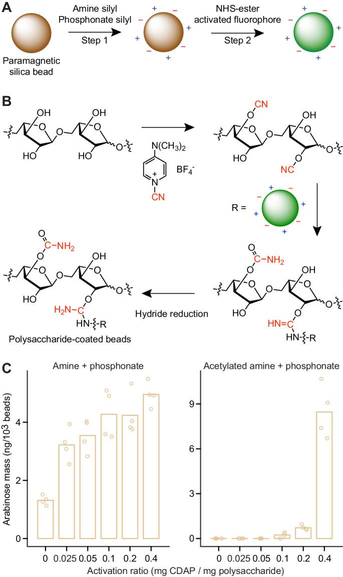 https://cdn.ncbi.nlm.nih.gov/pmc/blobs/3b23/7939548/49c6e6daec1c/elife-64478-fig3.jpg