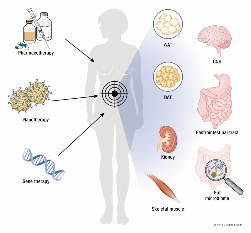 https://cdn.ncbi.nlm.nih.gov/pmc/blobs/3b24/9113190/384d3296a265/bnab034_iffig1.jpg