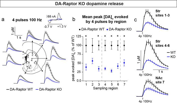 https://cdn.ncbi.nlm.nih.gov/pmc/blobs/3b26/9328766/a50e312694ca/elife-75398-fig6-figsupp1.jpg