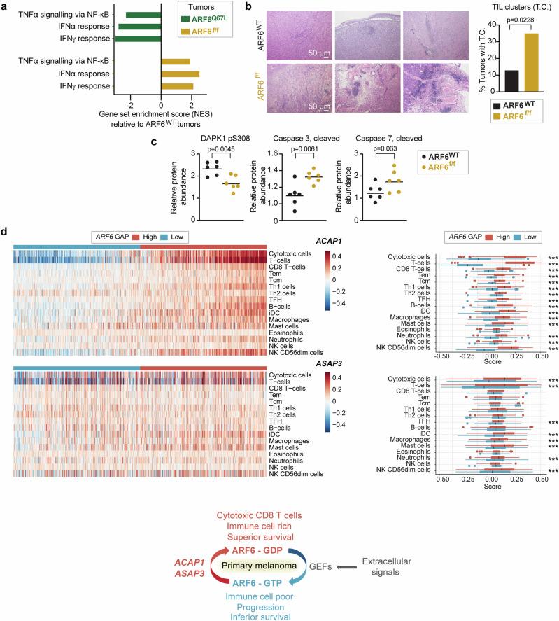 https://cdn.ncbi.nlm.nih.gov/pmc/blobs/3b27/11298541/13e0060e9114/41467_2024_50881_Fig2_HTML.jpg