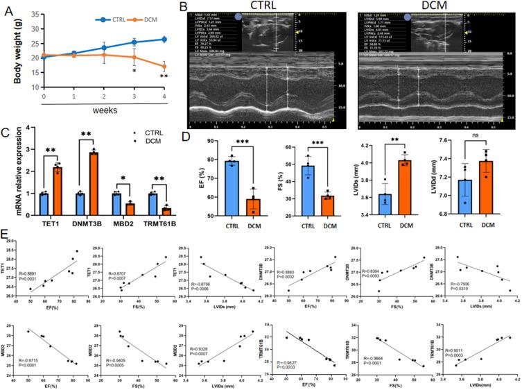 https://cdn.ncbi.nlm.nih.gov/pmc/blobs/3b27/12089261/23bc6658c68b/JIR-18-6331-g0009.jpg