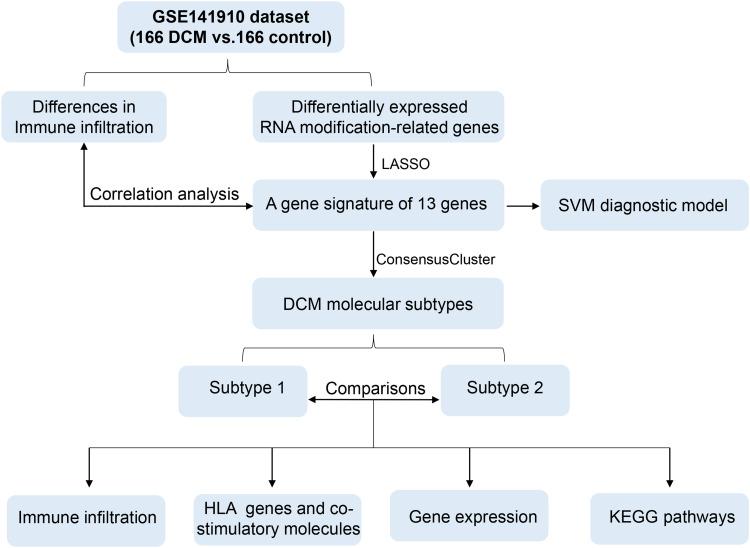 https://cdn.ncbi.nlm.nih.gov/pmc/blobs/3b27/12089261/58a79ba2b2a4/JIR-18-6331-g0001.jpg