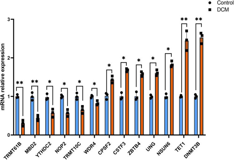 https://cdn.ncbi.nlm.nih.gov/pmc/blobs/3b27/12089261/7d3c4603fcba/JIR-18-6331-g0008.jpg
