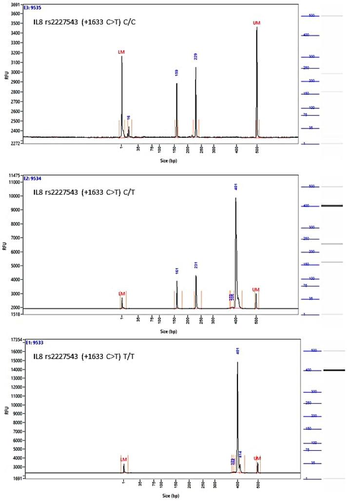 https://cdn.ncbi.nlm.nih.gov/pmc/blobs/3b28/10886609/37867e98affc/biomedicines-12-00321-g0A4.jpg