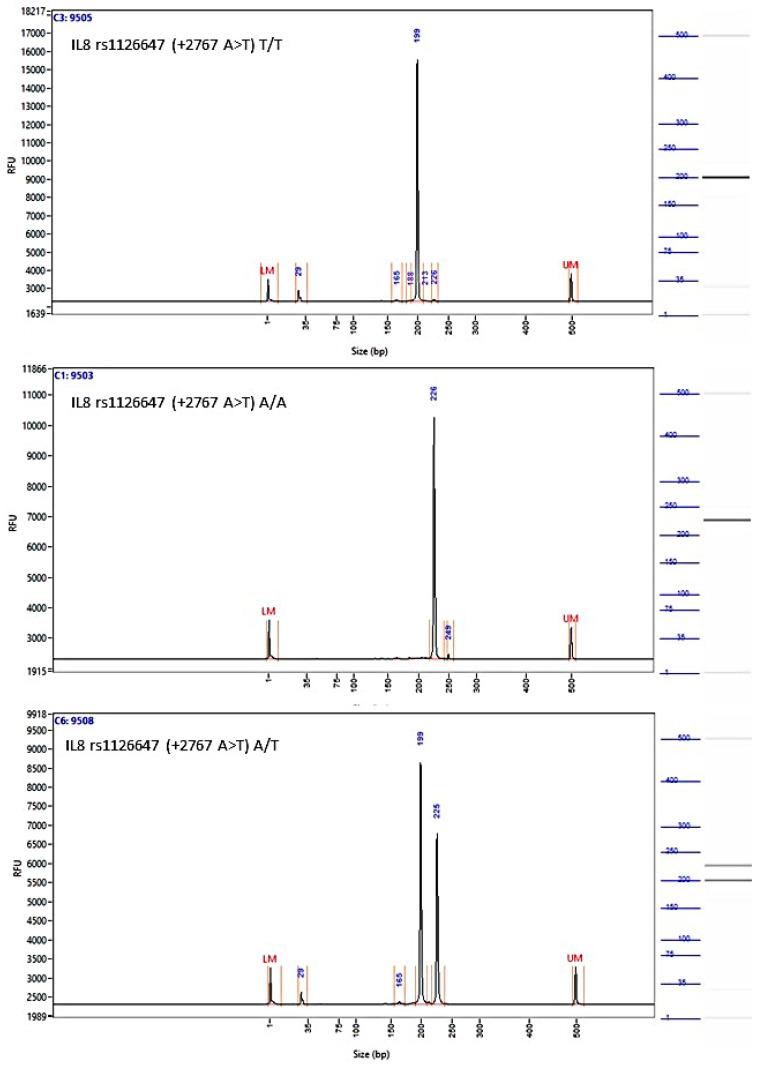 https://cdn.ncbi.nlm.nih.gov/pmc/blobs/3b28/10886609/9b44091b3834/biomedicines-12-00321-g0A5.jpg