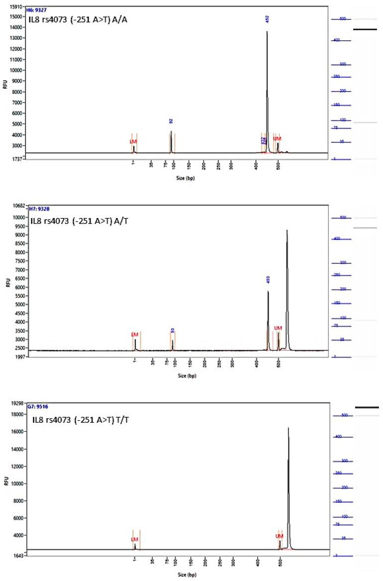 https://cdn.ncbi.nlm.nih.gov/pmc/blobs/3b28/10886609/deeaa9e78064/biomedicines-12-00321-g0A2.jpg