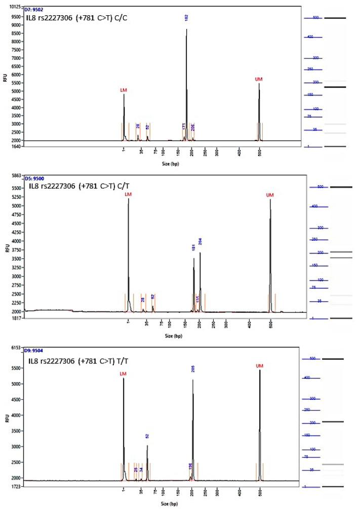 https://cdn.ncbi.nlm.nih.gov/pmc/blobs/3b28/10886609/e4b48d126318/biomedicines-12-00321-g0A3.jpg