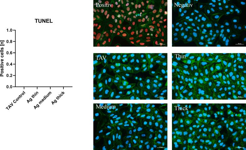 https://cdn.ncbi.nlm.nih.gov/pmc/blobs/3b29/10509668/1011e2091673/mmcfigs1.jpg