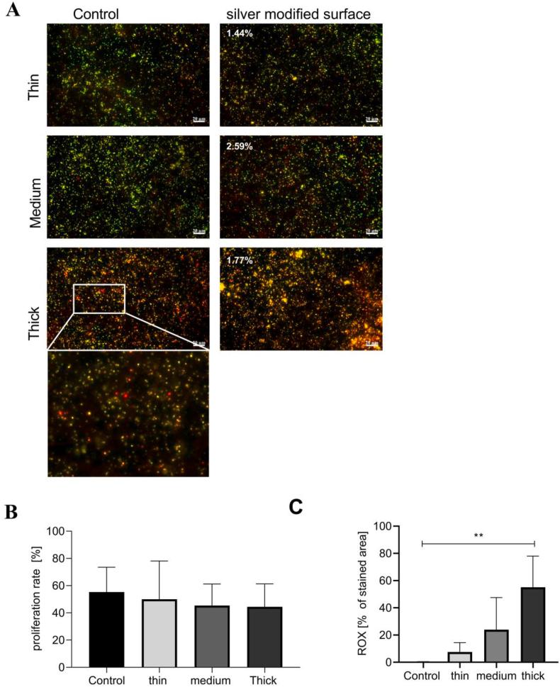 https://cdn.ncbi.nlm.nih.gov/pmc/blobs/3b29/10509668/ad5e1f29ca18/gr5.jpg