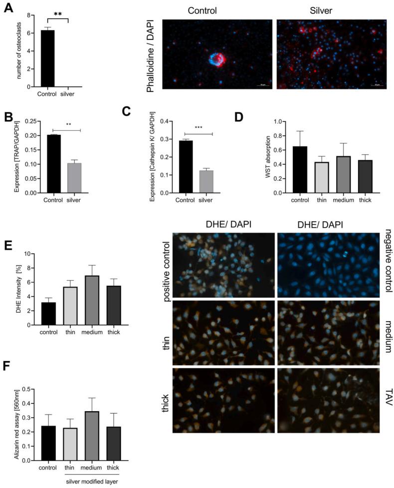 https://cdn.ncbi.nlm.nih.gov/pmc/blobs/3b29/10509668/ba47001e362e/gr6.jpg