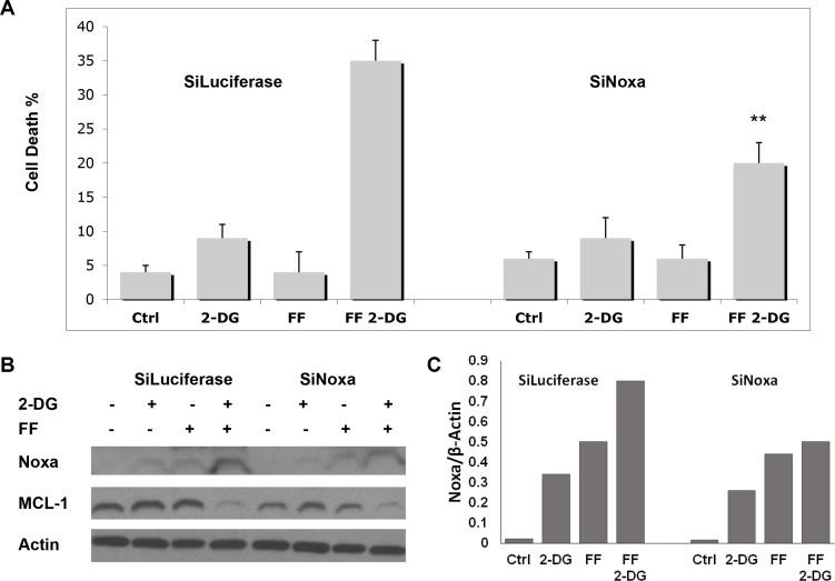 https://cdn.ncbi.nlm.nih.gov/pmc/blobs/3b29/5095013/eee829f24744/oncotarget-07-36461-g006.jpg