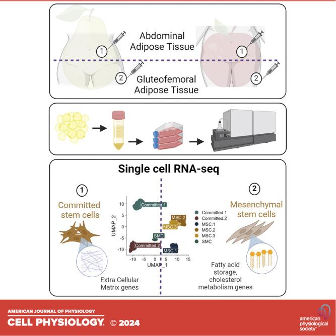 https://cdn.ncbi.nlm.nih.gov/pmc/blobs/3b2b/11193533/993cb4312715/c-00726-2023r01.jpg