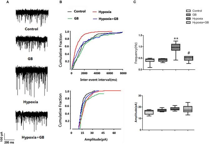 https://cdn.ncbi.nlm.nih.gov/pmc/blobs/3b2e/7928385/40e16c9f1f08/fncel-14-627846-g0003.jpg