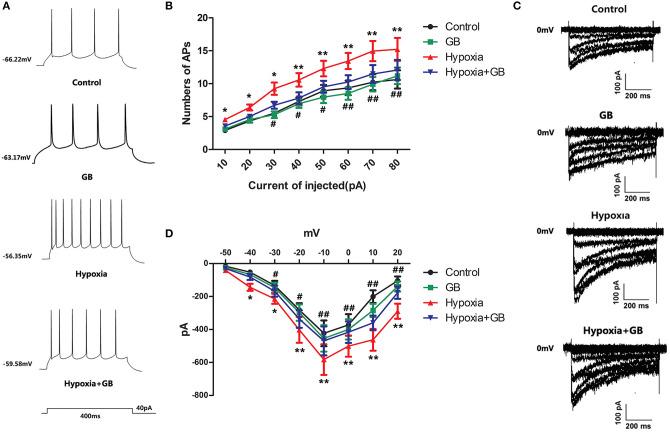 https://cdn.ncbi.nlm.nih.gov/pmc/blobs/3b2e/7928385/bcc81121d99f/fncel-14-627846-g0004.jpg