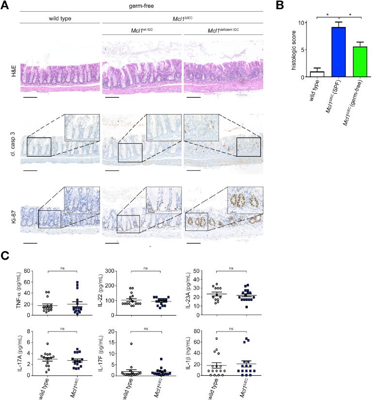 https://cdn.ncbi.nlm.nih.gov/pmc/blobs/3b31/7397524/18c0ebe3c6fa/gr3.jpg