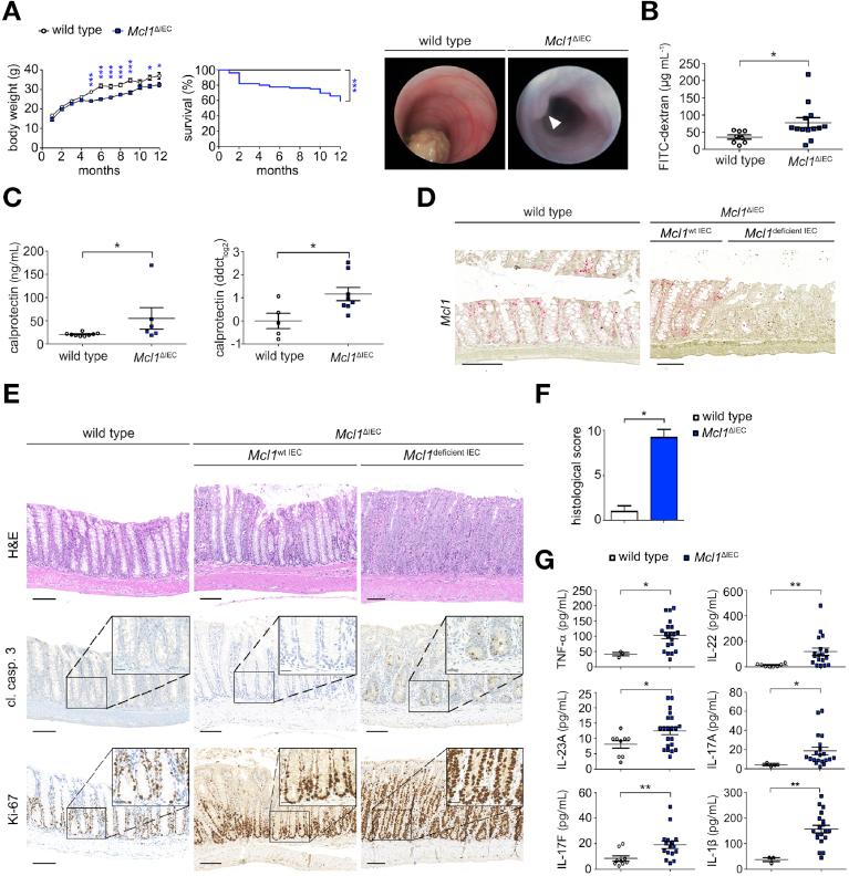 https://cdn.ncbi.nlm.nih.gov/pmc/blobs/3b31/7397524/5adce481937e/gr1.jpg