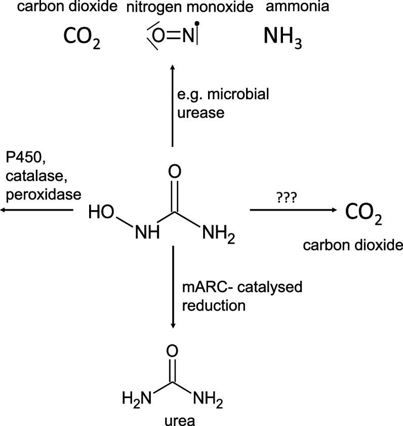 https://cdn.ncbi.nlm.nih.gov/pmc/blobs/3b34/11513889/3a03f7e69953/jm4c01148_0001.jpg