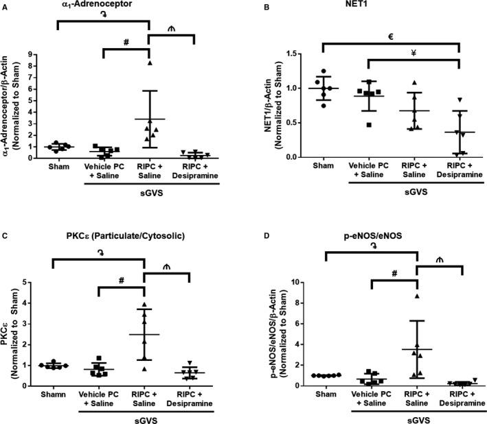 https://cdn.ncbi.nlm.nih.gov/pmc/blobs/3b34/5907579/d55198aa976e/JAH3-7-e007105-g016.jpg