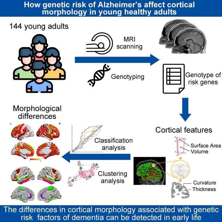 https://cdn.ncbi.nlm.nih.gov/pmc/blobs/3b36/10489122/9d6eeda7aa30/fcad234_ga1.jpg