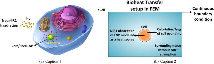 https://cdn.ncbi.nlm.nih.gov/pmc/blobs/3b36/12122797/35328e0ba83c/41598_2025_1530_Fig7_HTML.jpg