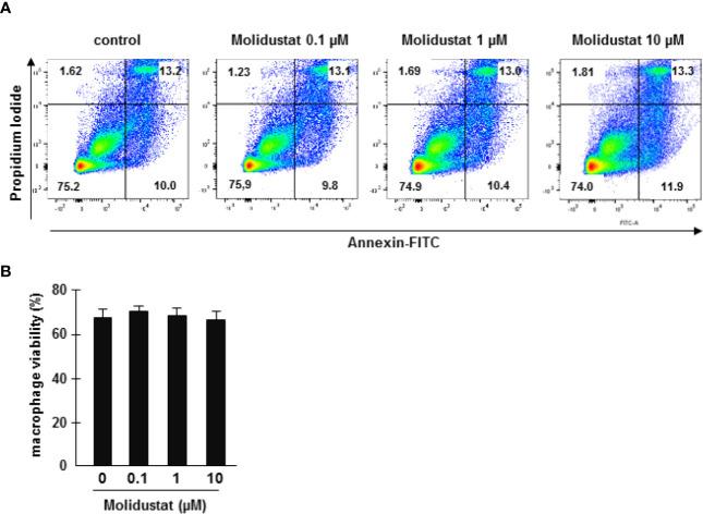 https://cdn.ncbi.nlm.nih.gov/pmc/blobs/3b36/8206807/d6429d6c2169/fimmu-12-678354-g001.jpg