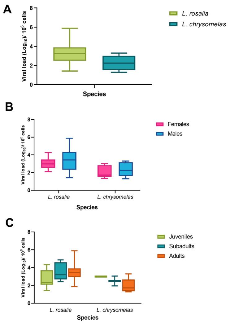 https://cdn.ncbi.nlm.nih.gov/pmc/blobs/3b37/12390735/71a1f8617174/viruses-17-01072-g003.jpg