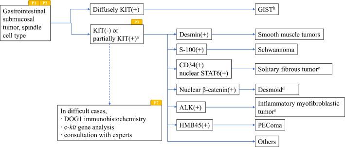 https://cdn.ncbi.nlm.nih.gov/pmc/blobs/3b39/11130037/461757ceaf5f/10147_2024_2488_Fig2_HTML.jpg