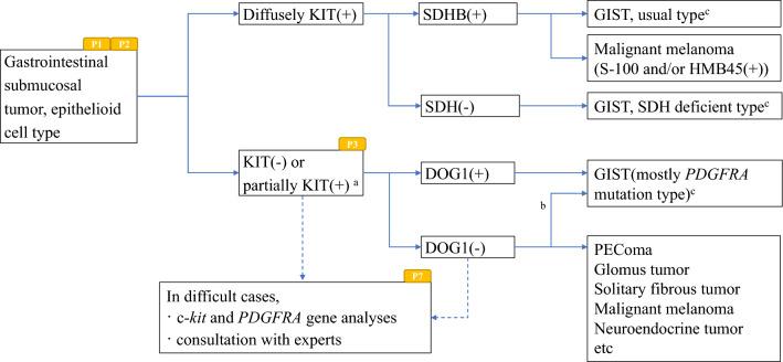 https://cdn.ncbi.nlm.nih.gov/pmc/blobs/3b39/11130037/d08a63e4413b/10147_2024_2488_Fig3_HTML.jpg