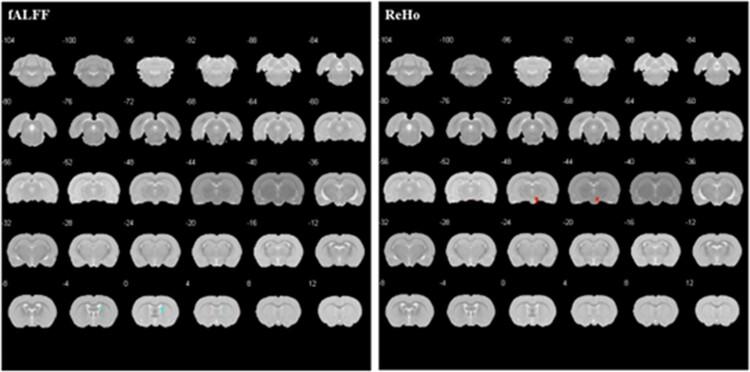 https://cdn.ncbi.nlm.nih.gov/pmc/blobs/3b3b/11365699/414474863762/qfae047f2.jpg