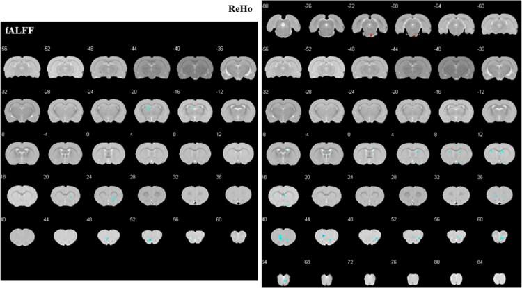 https://cdn.ncbi.nlm.nih.gov/pmc/blobs/3b3b/11365699/78a2423ad160/qfae047f3.jpg