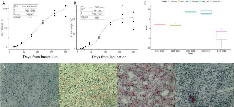 https://cdn.ncbi.nlm.nih.gov/pmc/blobs/3b3d/8461244/a0b7f8d58d0b/fgene-12-723519-g001.jpg