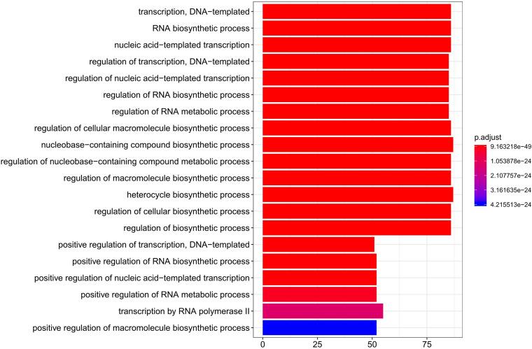 https://cdn.ncbi.nlm.nih.gov/pmc/blobs/3b3d/8461244/f0fc8c966868/fgene-12-723519-g004.jpg