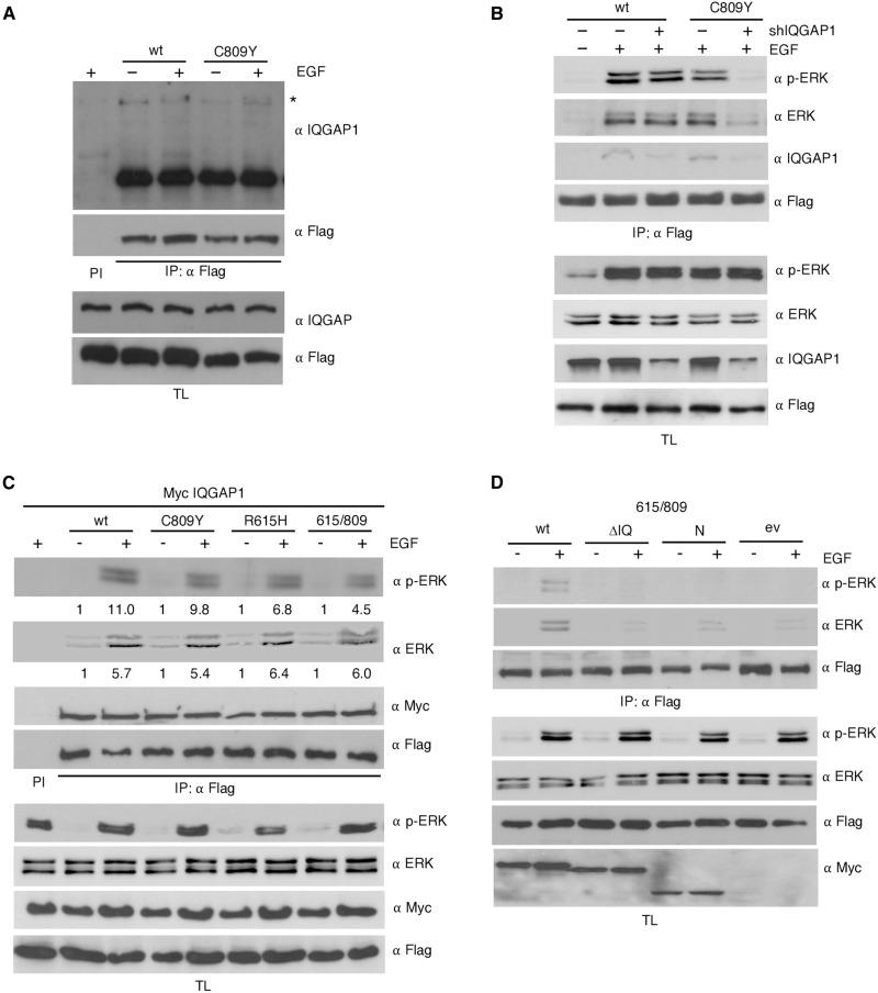 https://cdn.ncbi.nlm.nih.gov/pmc/blobs/3b3d/9931222/527978dfa6b4/sciadv.add7969-f4.jpg