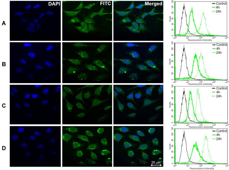 https://cdn.ncbi.nlm.nih.gov/pmc/blobs/3b3e/7549887/dcc9f5545cf2/IJN-15-7667-g0004.jpg