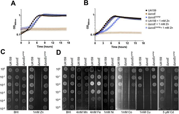 https://cdn.ncbi.nlm.nih.gov/pmc/blobs/3b40/9387928/1f830457daea/ppat.1010477.g004.jpg