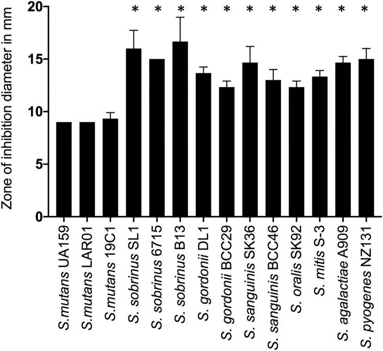 https://cdn.ncbi.nlm.nih.gov/pmc/blobs/3b40/9387928/8577738c9bf7/ppat.1010477.g001.jpg