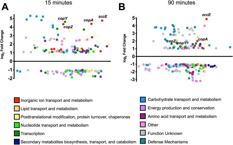 https://cdn.ncbi.nlm.nih.gov/pmc/blobs/3b40/9387928/b51029cc4558/ppat.1010477.g002.jpg