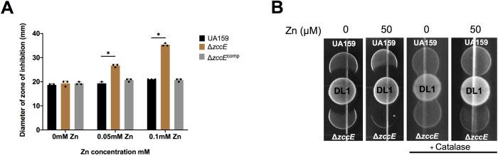 https://cdn.ncbi.nlm.nih.gov/pmc/blobs/3b40/9387928/d8077717b1be/ppat.1010477.g009.jpg