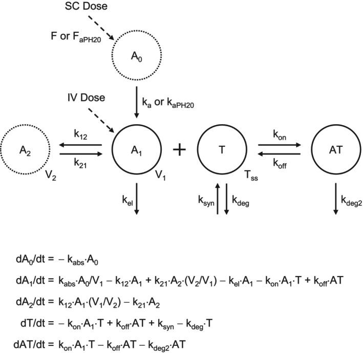 https://cdn.ncbi.nlm.nih.gov/pmc/blobs/3b41/10985223/ee423341fdc3/CTS-17-e13788-g001.jpg