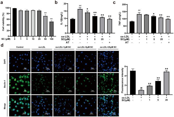 https://cdn.ncbi.nlm.nih.gov/pmc/blobs/3b43/11292807/7032ad9a22df/ao4c03738_0004.jpg